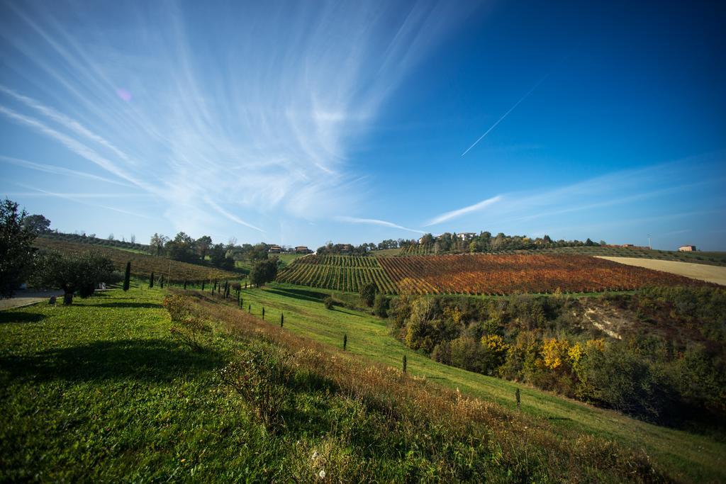 Acetaia Sereni Farm stay
