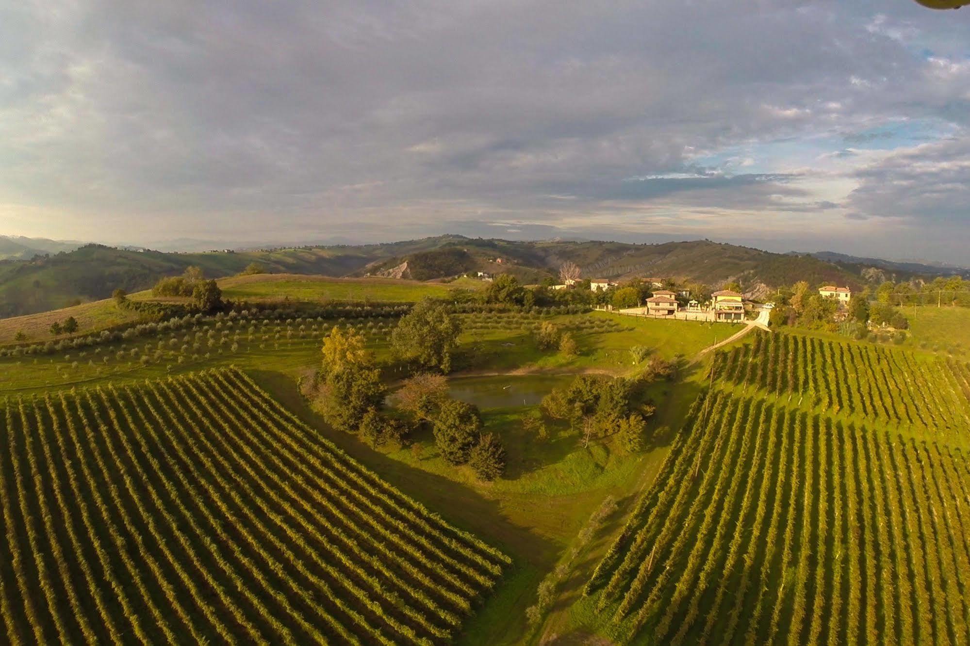 Alloggio per agricurismo agriturismo Acetaaia Sereni公司