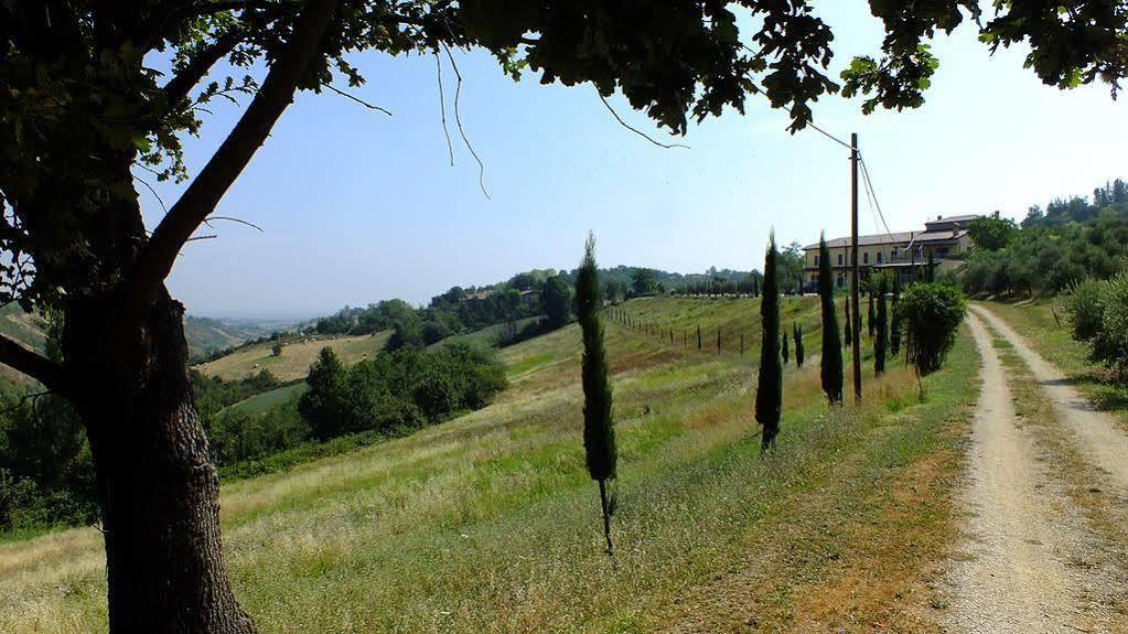 Alloggio per agricurismo agriturismo Acetaaia Sereni公司