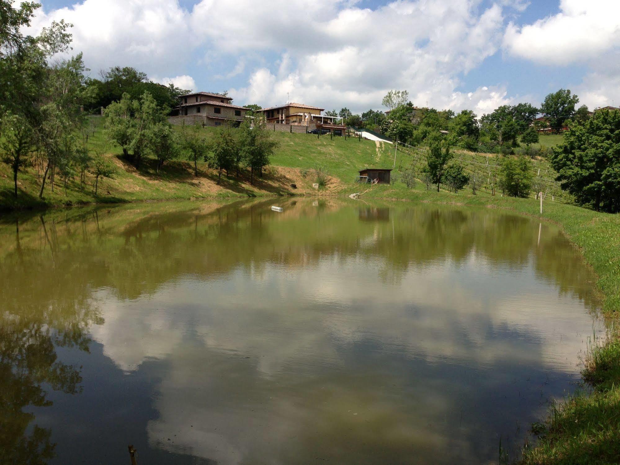 Agroturismo Acetaia Sereni *