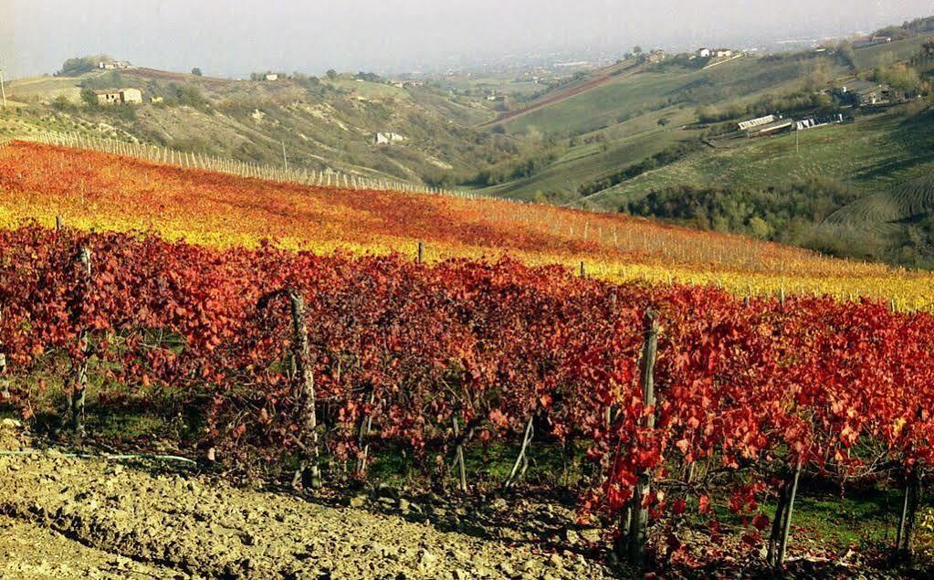 Acetaia Sereni